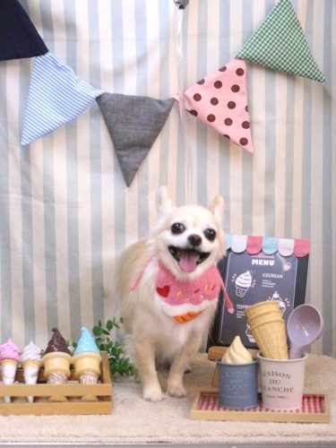 20250515ミルクちゃん